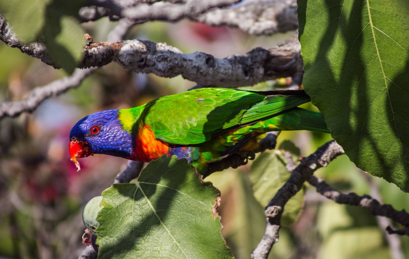 Clément Viala photographe de voyages